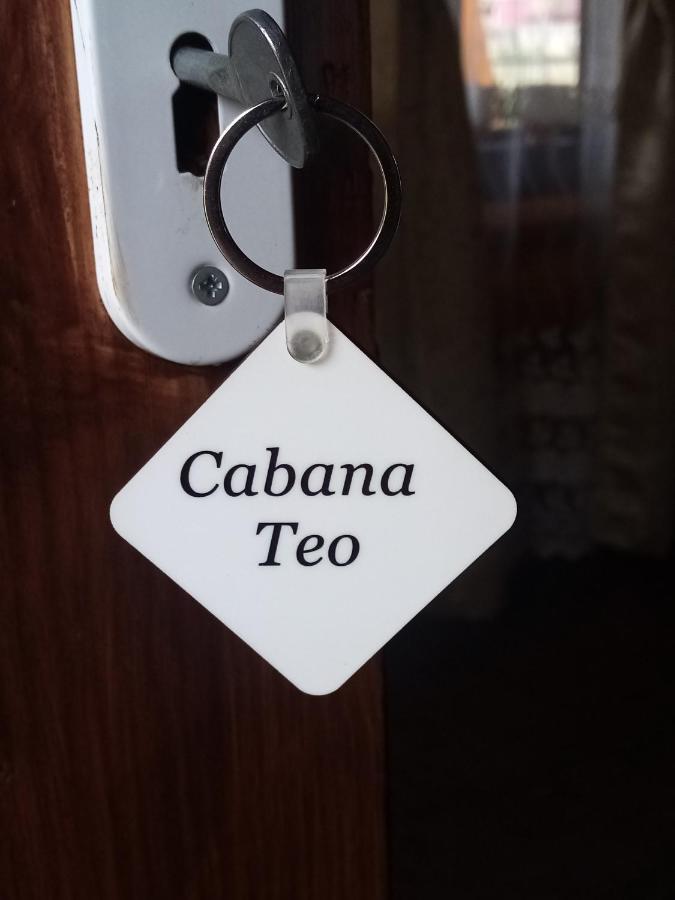 Hotel Casa Prundari Nicu Si Mirela Poiana Teiului Exterior foto